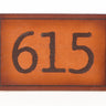 Tennessee Patch